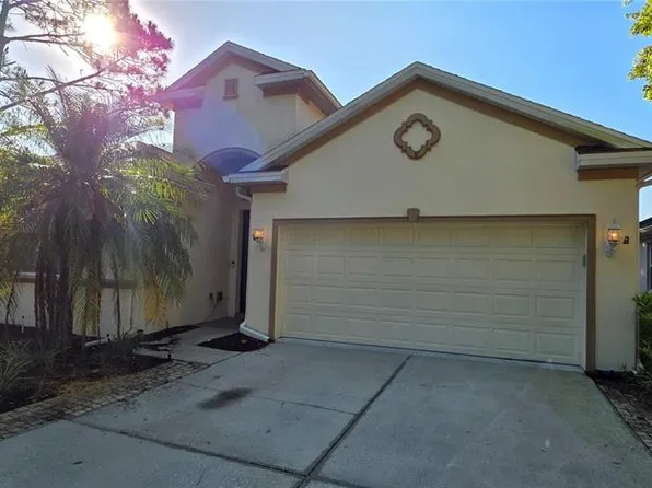 10906 Tree Cactus Loop, Land O Lakes, FL 34638