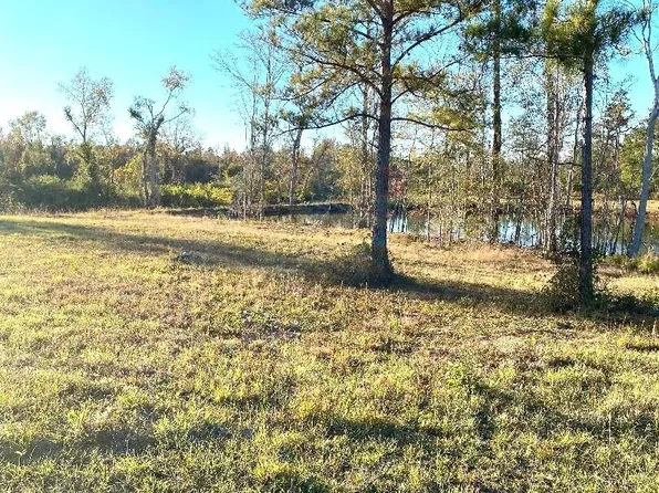 0 Modoc Rd, Swainsboro, GA 30401