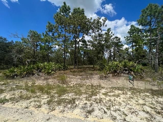 1st image of 12159 SCARLET IBIS AVENUE LOT 2