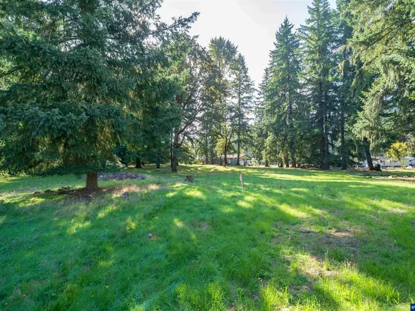 E Dogwood Drive Next To St, Lyons, OR 97358