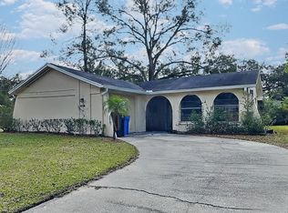 601 Highview Ter S, Brandon, FL 33510