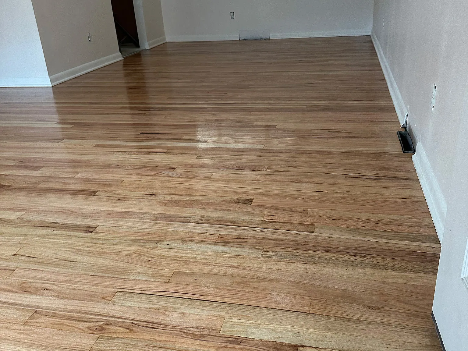 1136 Krameria St — Photo 2