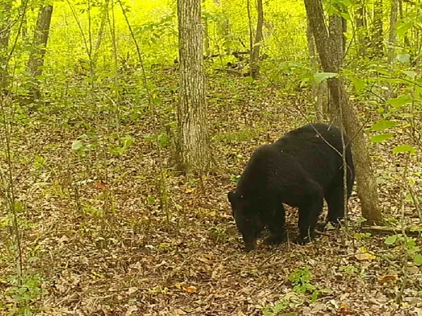 Efg 330th St, Onamia, MN 56359