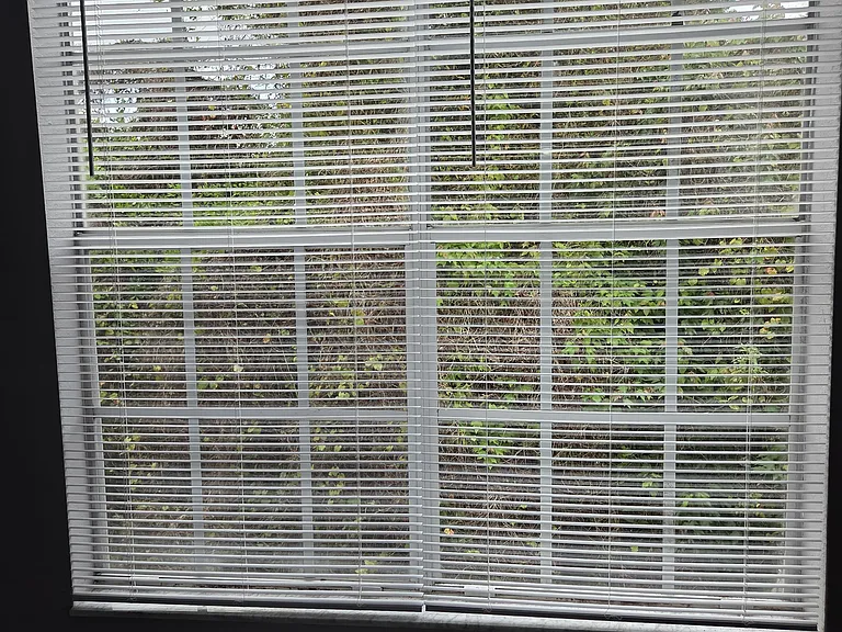 3248 Arden Villas Blvd #7 — Photo 39