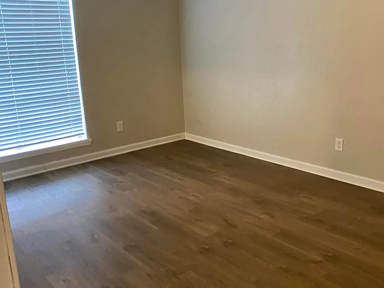 Palm Shore Apartments — Photo 12