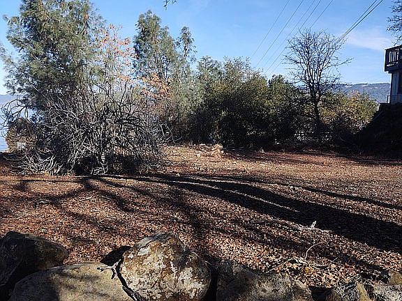 3rd image of 6670 Buena Vista Ave