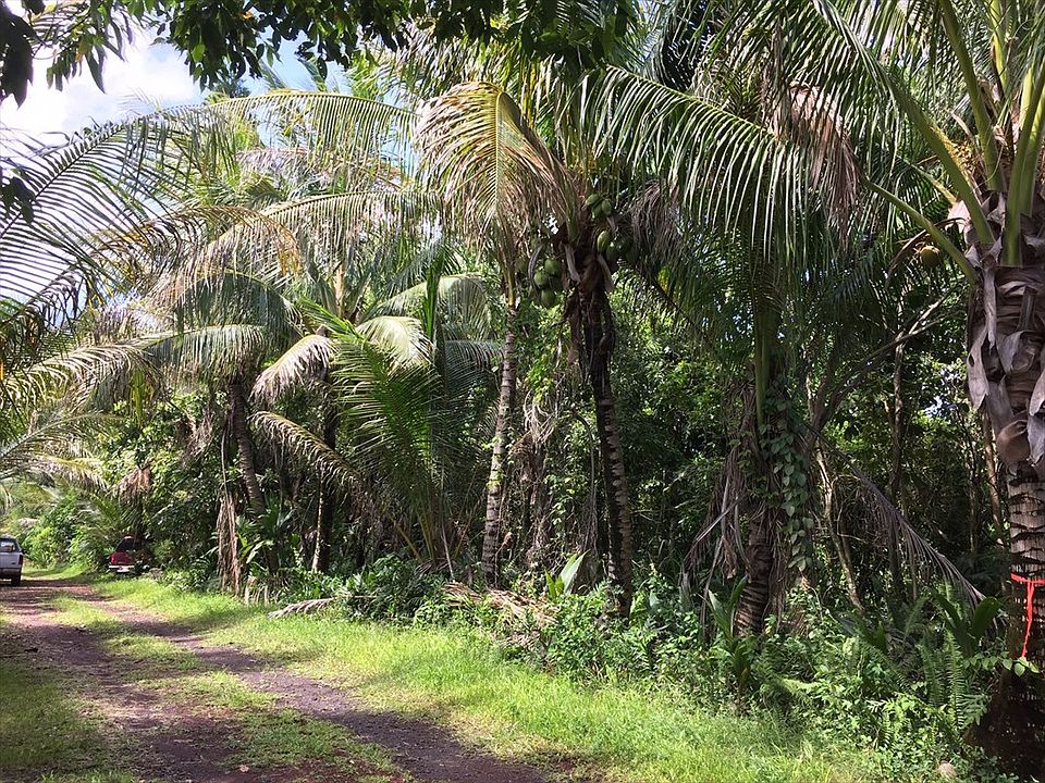 2nd image of Ala Lokelani Lot 86