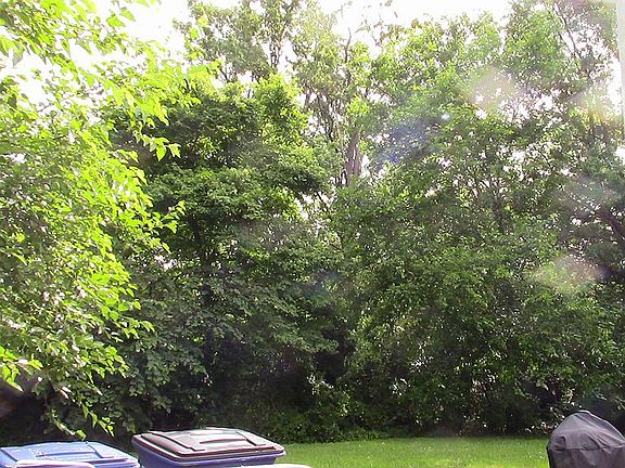 2nd image of 808 Alabama Dr