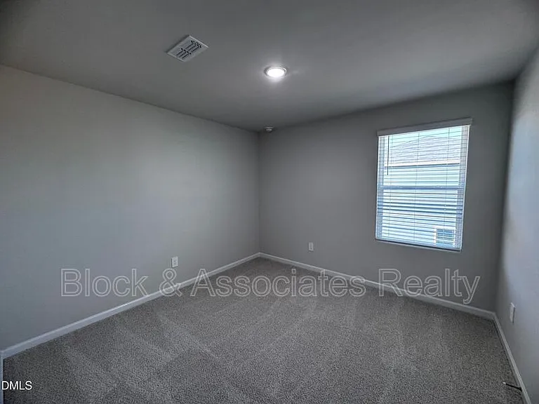 62 Thistle Patch Pl — Photo 12