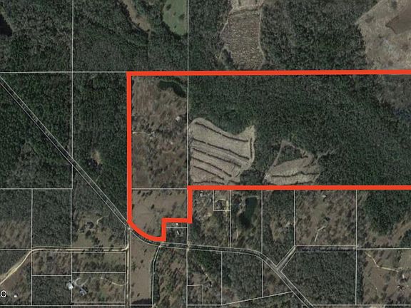 5th image of 25 Holly Hill Ln