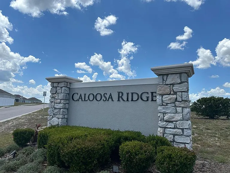 1116 Caloosa Ridge Way — Photo 20