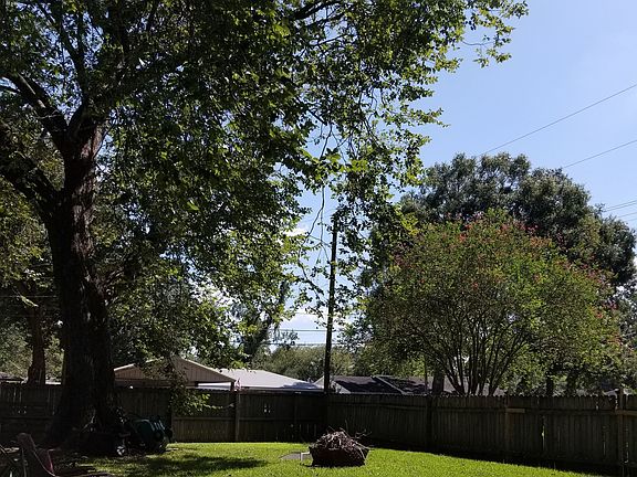 Back yard 2