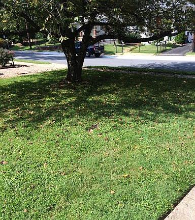 2nd image of 725 Grandin Ave