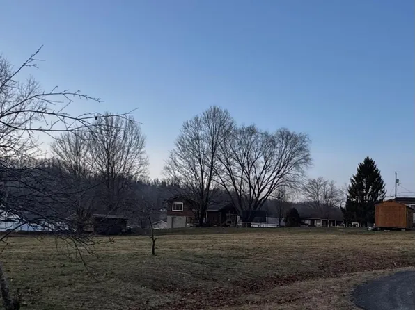 Deer Creek Cir, Canvas, WV 26662