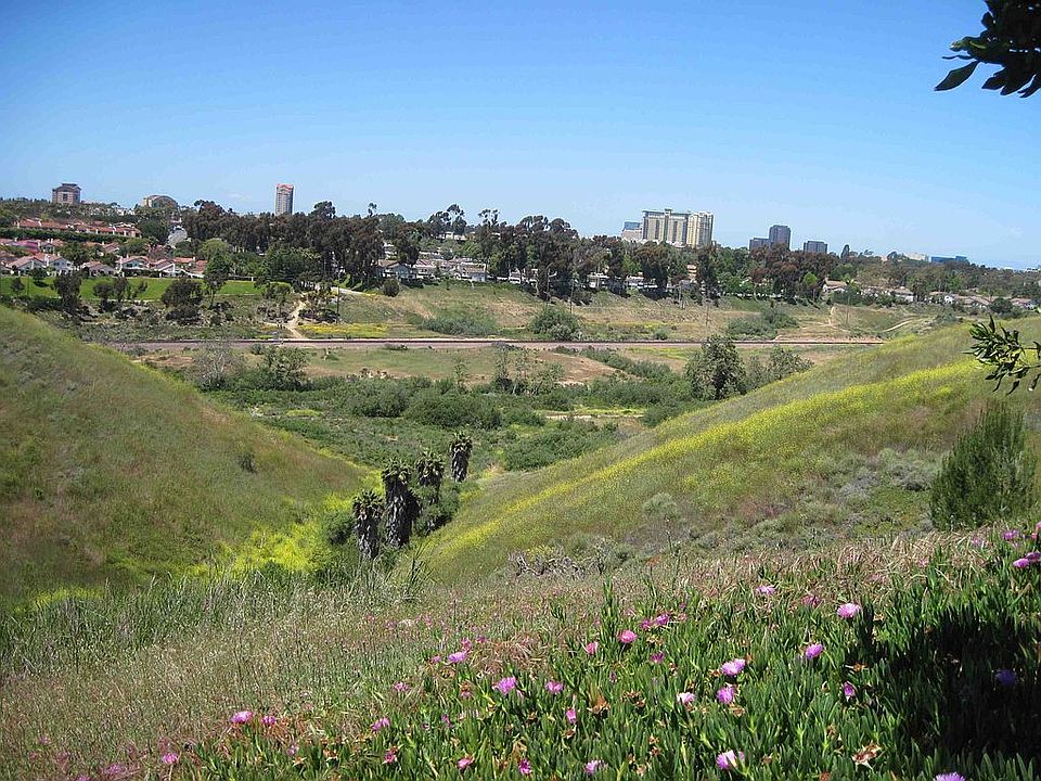 Bkyrd View