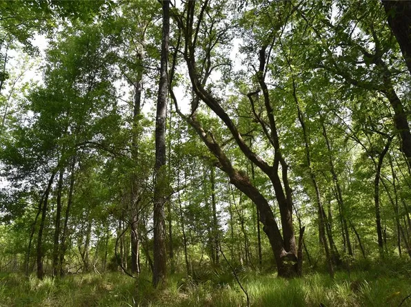 Off Hwy #225, Gainesville, FL 32609