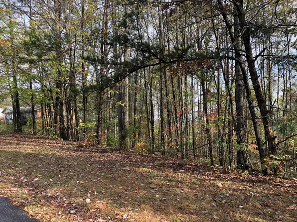 8 Indian Trl, Henry, VA 24102