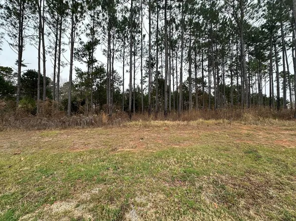 109 Tupelo Dr, Leesburg, GA 31763