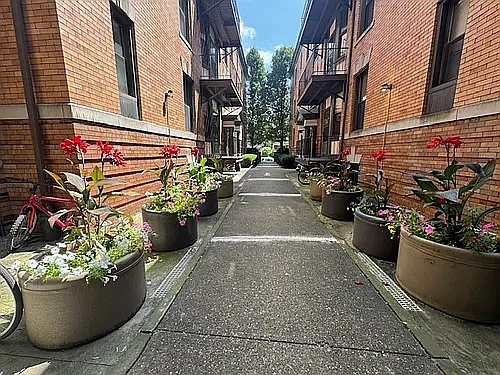 North Oakland Properties — Photo 34