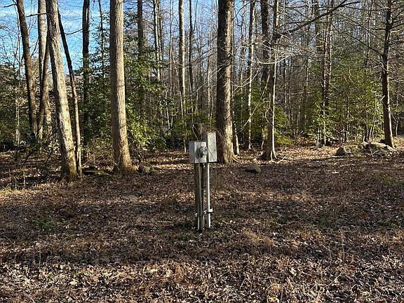 5th image of 144 Cricket Hollow Way