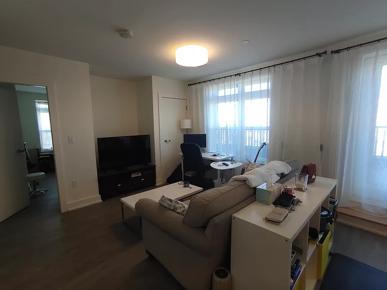 20 Penniman Rd #P3 — Photo 12