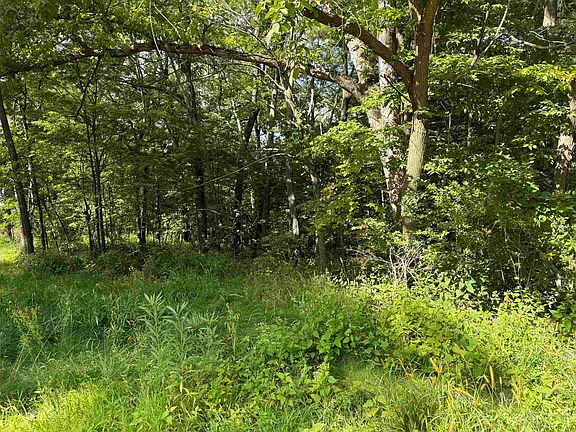 2nd image of 20683 Deer Island Vw