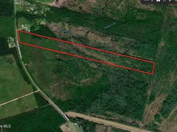 28.6 Acres Fountaintown Road, Beulaville, NC 28518