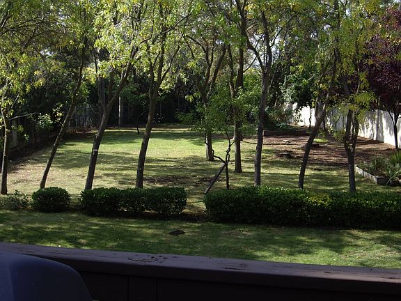 Backyard From Upper Deck