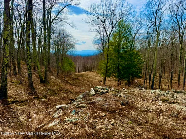 0 Mercer Mountain Road, East Chatham, NY 12060