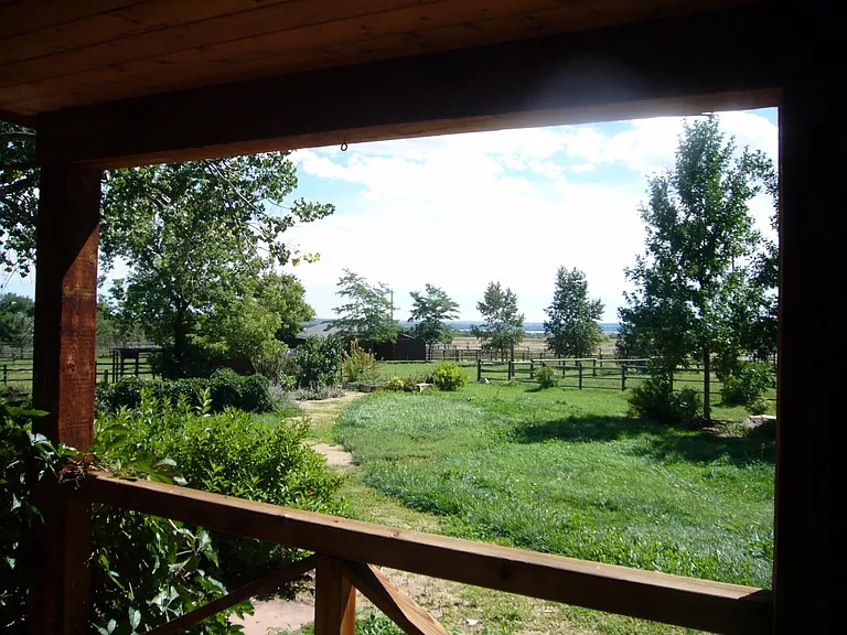 View from Kitchen