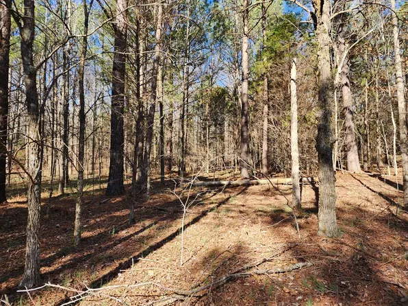 0 Zig Zag Rd, Big Sandy, TN 38221