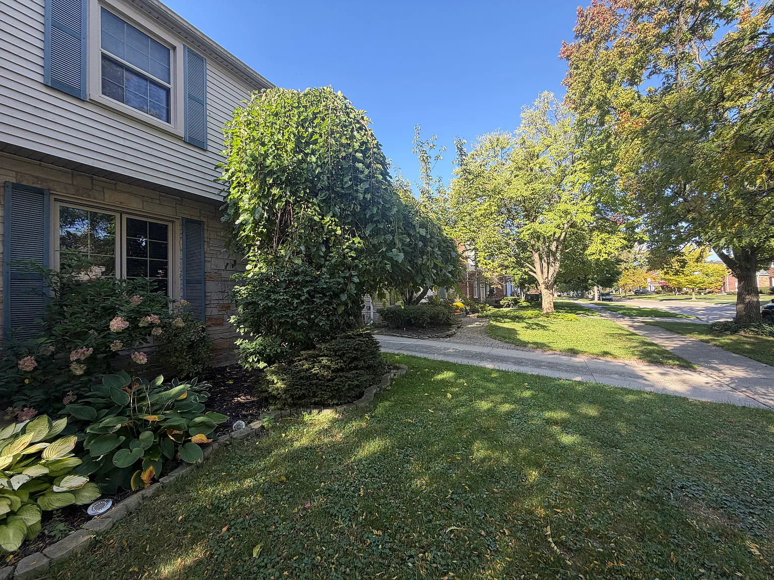 3 bed, 1808 sqft, $2,995 — Photo 3