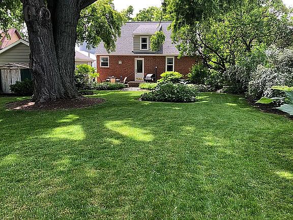 Backyard / back of house