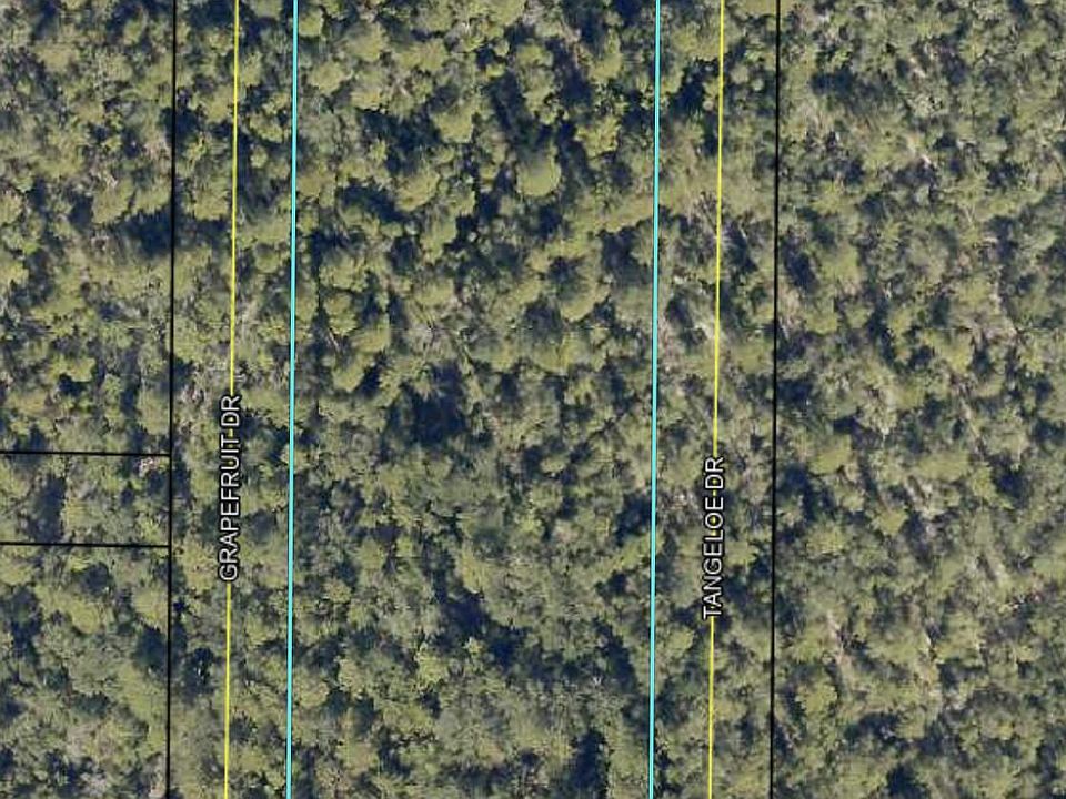 2nd image of 2.64 Alpha Rd