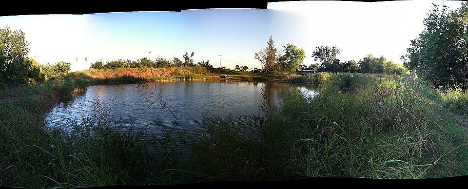 Pond