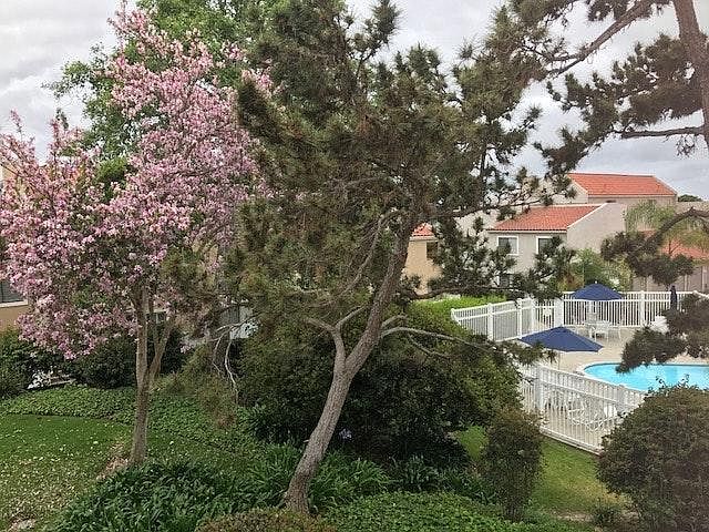 VIEW FROM OUTDOOR PATIO