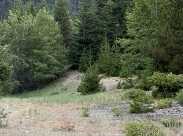 0 xx Fowler Creek Road, Cle Elum, WA 98922