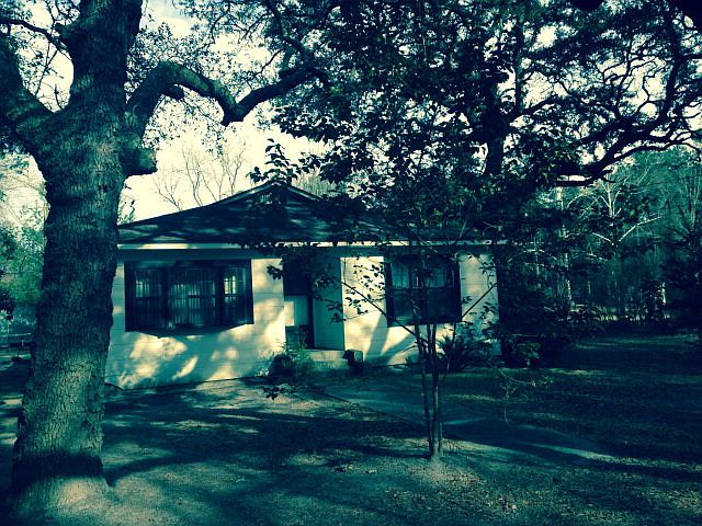 1st image of 35 Carter St