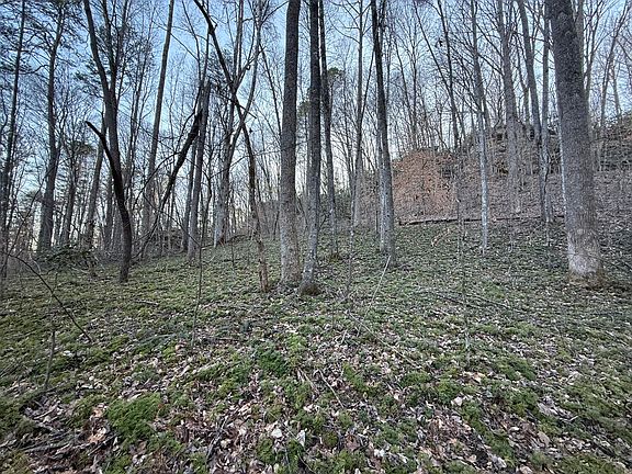 5th image of 9991 Red Hill Rd