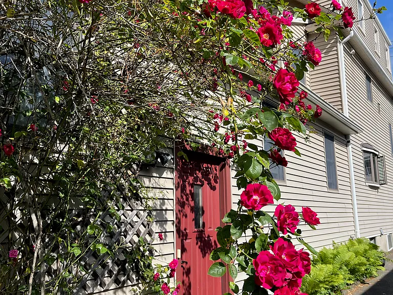 175 Jennings Rd — Photo 1
