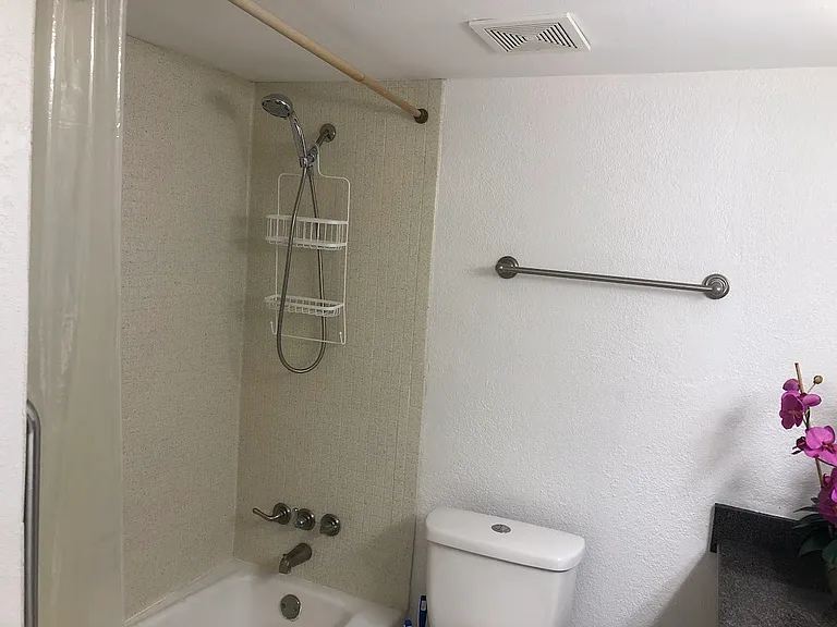 Guest bathroom.