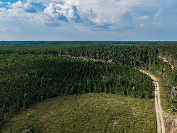 3rd image of LOT 93 Posie Forest Rd