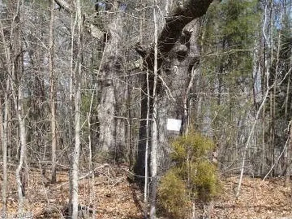 5252 Bunch Rd, Summerfield, NC 27358