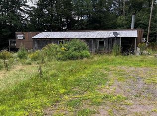 365 Wade Rd, Liberty, NY 12754