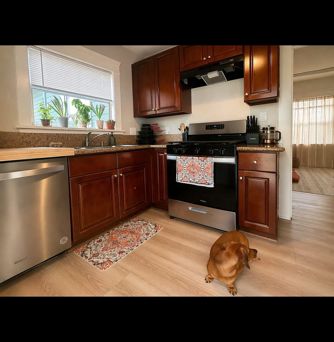 2 bed, 700 sqft, $3,100 — Photo 4