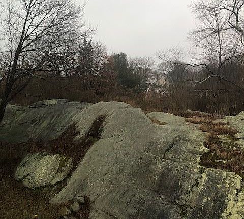 Denison 3 view to rear of property