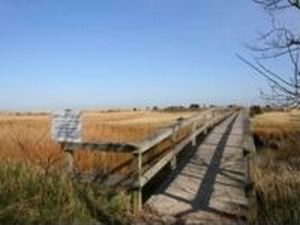 12 Gosnold Rd, Orleans, MA, 02653