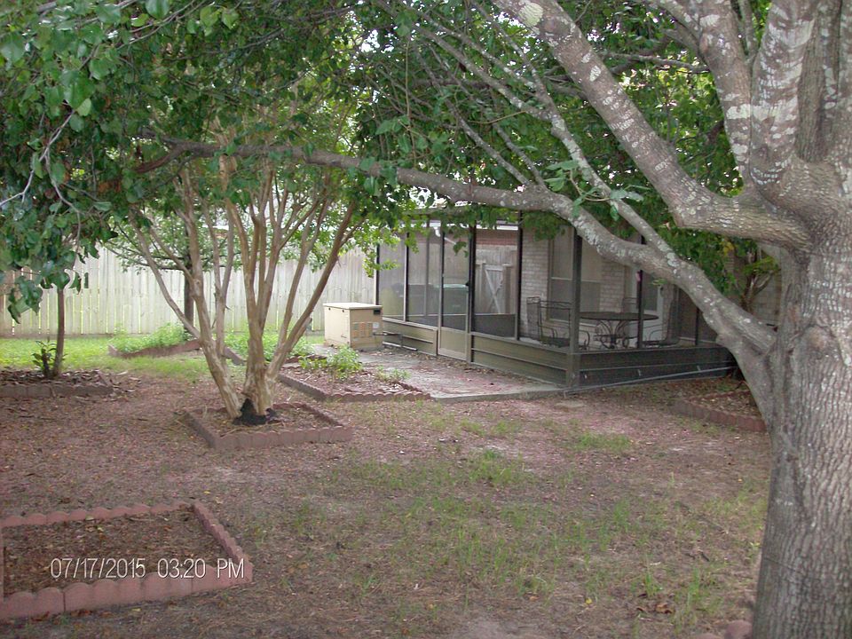 Great back Yard