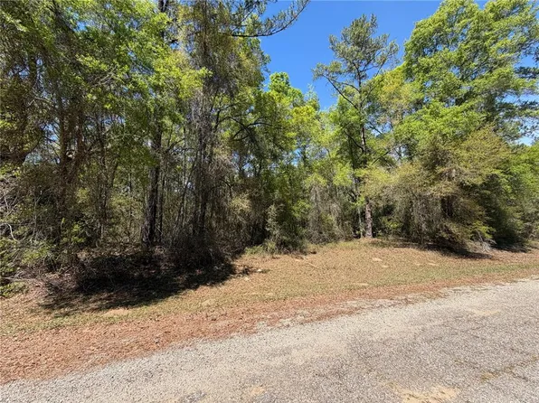 8512 N Escobar Rd Lot 20, Dunnellon, FL 34434
