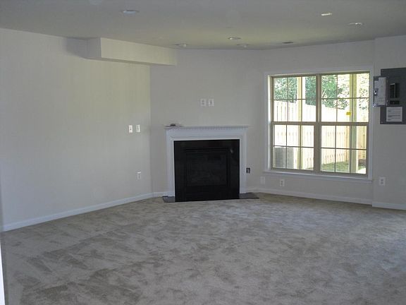 Basement w Fireplace